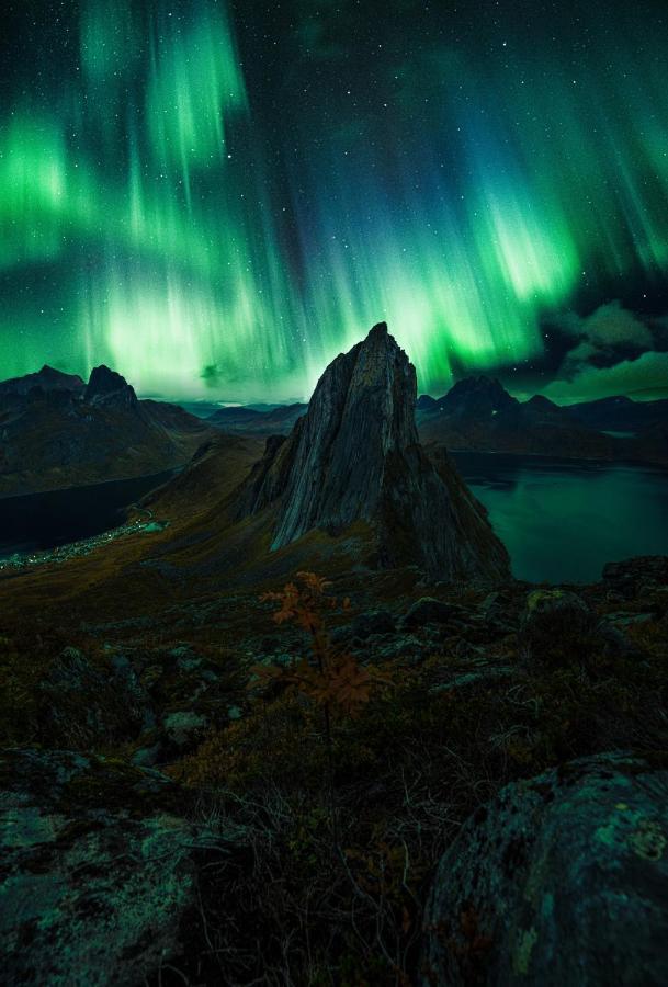 Polar Panorama Lodge Fjordgard Dış mekan fotoğraf